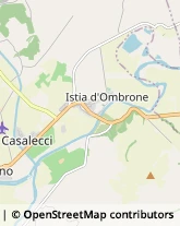 Via Gallura, 7,58100Grosseto