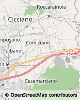 Via Circumvallazione, 113,80032Casamarciano