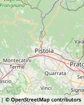 Provincia e Servizi Provinciali,51016Pistoia