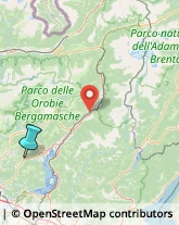 Caccia e Pesca Articoli - Dettaglio,24060Bergamo