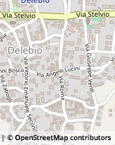 Via Roma, 41,23014Delebio