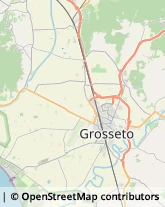 Viale Vittorio Fossombroni, 14,58100Grosseto