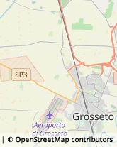 Agenzie di Animazione e Spettacolo,58100Grosseto