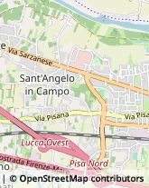 Via Pisana Vecchia, 555,55100Lucca