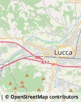 Autofficine e Centri Assistenza,55100Lucca