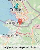 Falegnami,34131Trieste