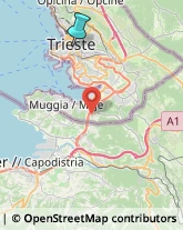 Falegnami,34131Trieste