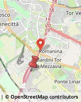 Via Giusto Fontanini, 13,00178Roma