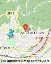 Terme,38056Trento