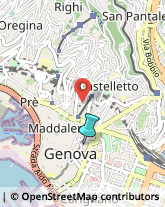 Palestre e Centri Fitness,16121Genova