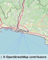 Carte da Gioco,16014Genova