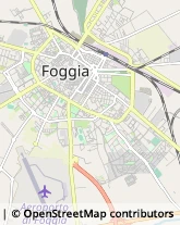 Via Luigi Miranda, 10,71100Foggia