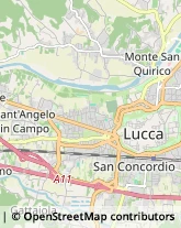 Via delle Piagge, 780,55100Lucca