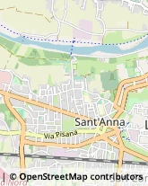 Via delle Tagliate Prima, 231,55100Lucca