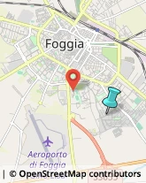 Associazioni e Federazioni Sportive,71122Foggia