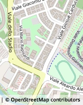 Viale Giovanni Prati, 10,05100Terni