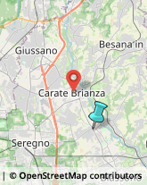 Pizzerie,20847Monza e Brianza