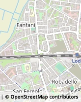 Viale dei Platani, 55,26900Lodi