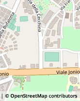 Viale Jonio, 72,00141Roma