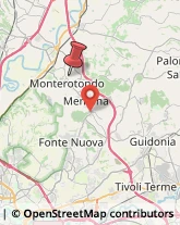 Via Palmioli Nazario, 7,00015Monterotondo