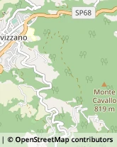 Via Garfagnana, 11,54013Fivizzano