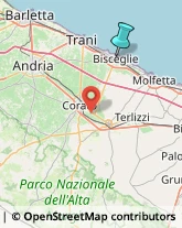 Alberghi,76011Barletta-Andria-Trani