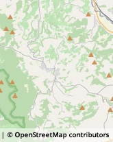 Aziende Agricole,53037Siena