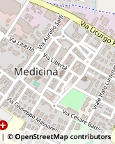 Via Libertà, 136,40059Medicina