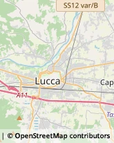 Viale Europa, 797/C,55100Lucca