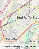 Agenzie di Animazione e Spettacolo,10100Torino