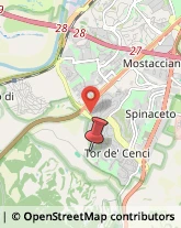 Viale Odone Belluzzi, 216,00128Roma