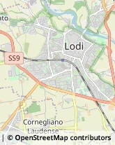 Imprese di Pulizia,26900Lodi