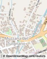 Via Molino, 1,33055Muzzana del Turgnano