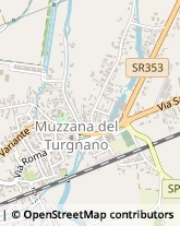 Via San Giorgio, 48,33055Muzzana del Turgnano