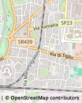 Via di Tiglio, 400,55100Lucca