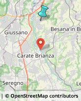 Frutta e Verdura - Dettaglio,20836Monza e Brianza