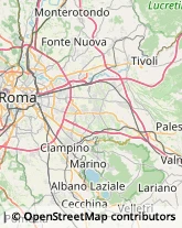 Via Fregene, 3,00183Roma