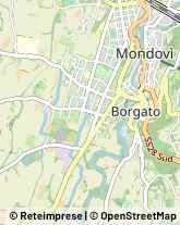 Via Rosa Bianca, 52,12084Mondovì