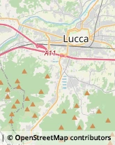 Via S. Nicolao, 65,55100Lucca