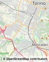 Trasportatori Meccanici,10126Torino