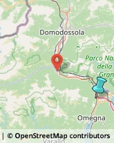 Aziende Agricole,28883Verbano-Cusio-Ossola