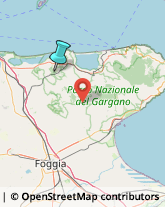 Notai,71015Foggia