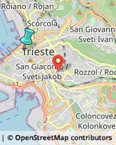 Rigattieri,34123Trieste