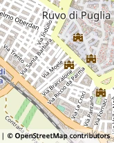 Via De Feudis, 14,70037Ruvo di Puglia