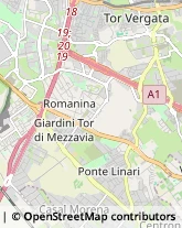 Via Vincenzo Manzini, 135,00173Roma