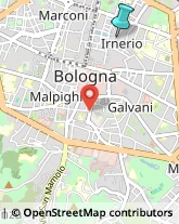 Locali, Birrerie e Pub,40126Bologna