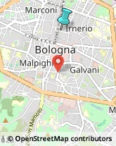 Locali, Birrerie e Pub,40126Bologna