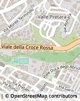 Viale Croce Rossa, 129,67100L'Aquila