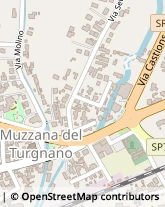 Via Molino, 1,33055Muzzana del Turgnano