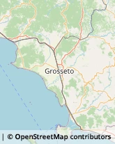 Rosticcerie e Salumerie,58043Grosseto